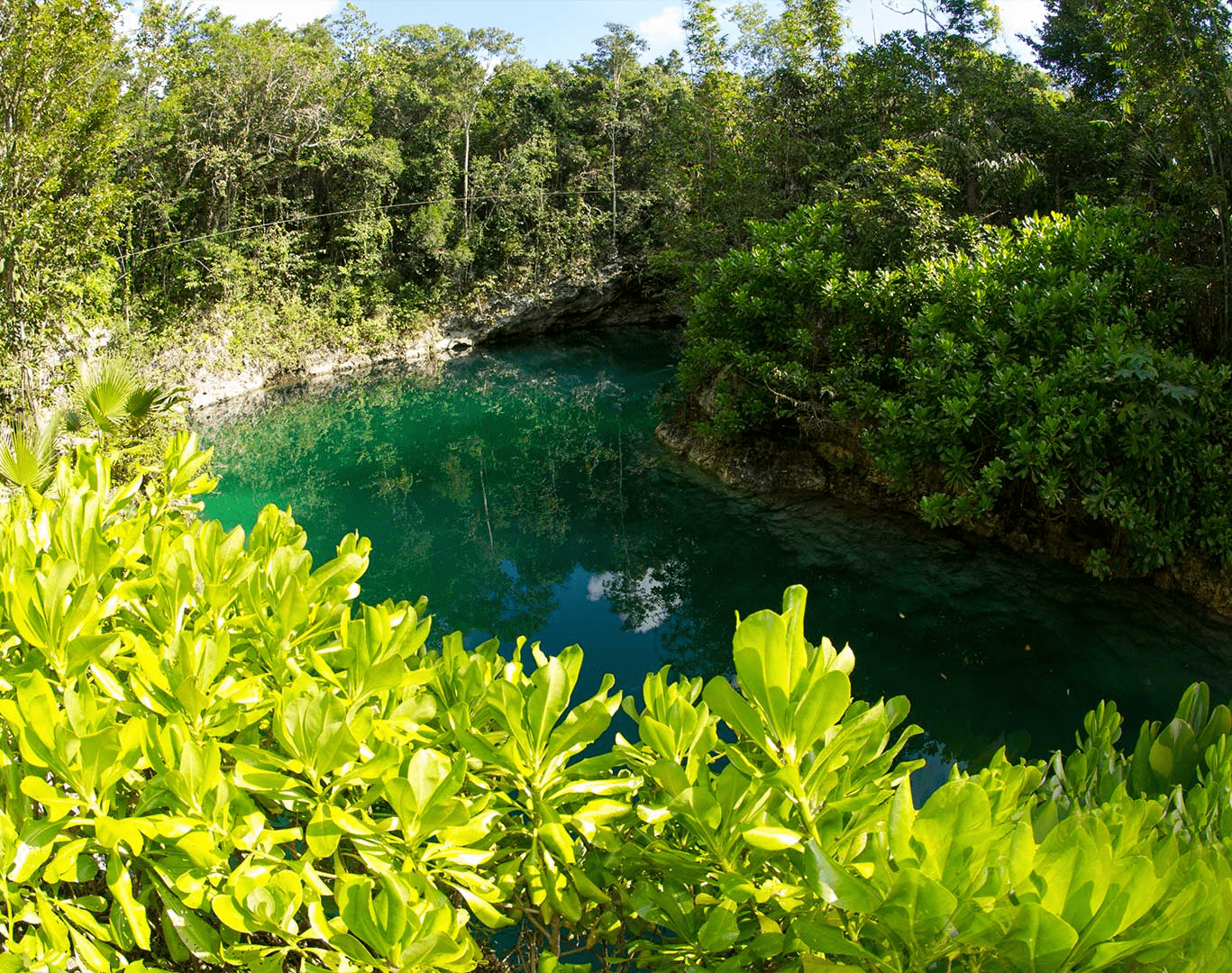 Cenote Zapote Ecopark Private Tour | Travelumy